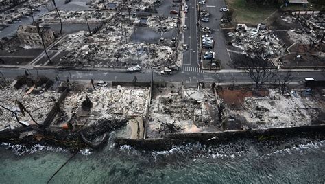 m4ufree incendies